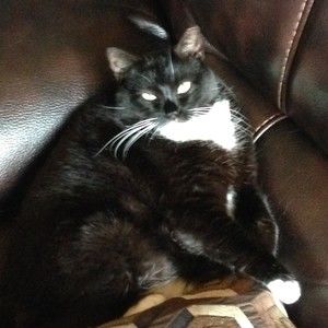 Meet your Posher, Joan